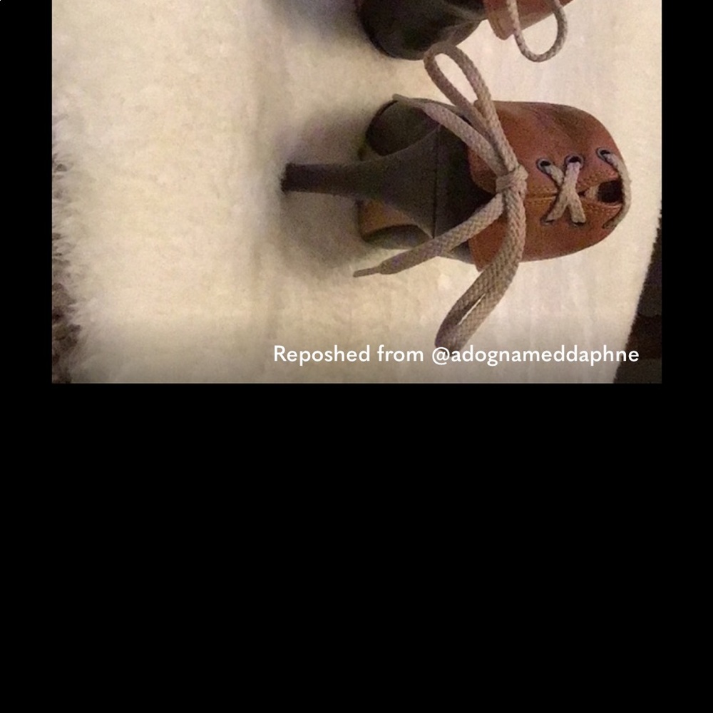 Gina Rutledge - Picture 3 of 4
